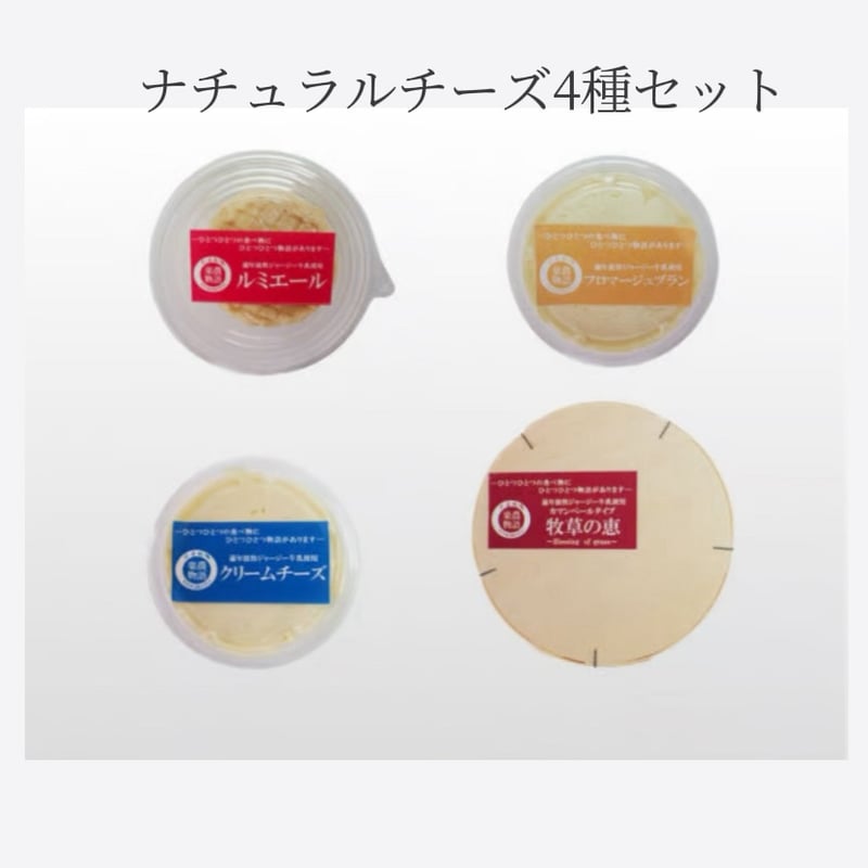 ナチュラルチーズ 4点セット 【ギフト包装対応可】 | 玉名牧場