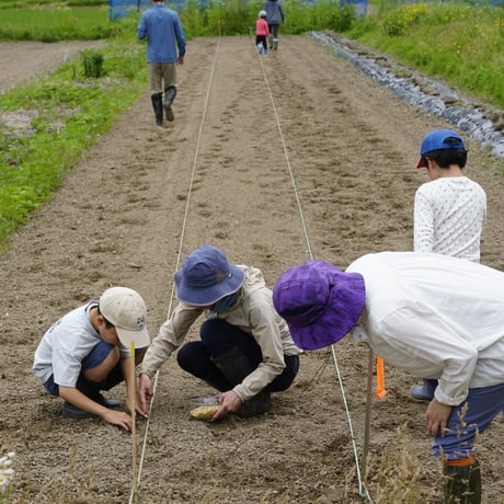 たそがれ野育園2026　入園パスポート