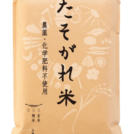 令和6年産米>tasoヒカリ 玄米(農薬・化学肥料不使用 令和6年産米>tasoヒカリ 玄米(農薬・化学肥料不使用