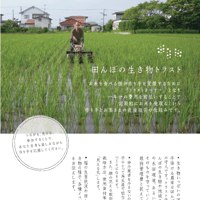 <定期便>田んぼのいきものトラスト2025 heavy