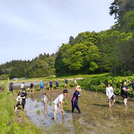 たそがれ野育園2026　入園パスポート