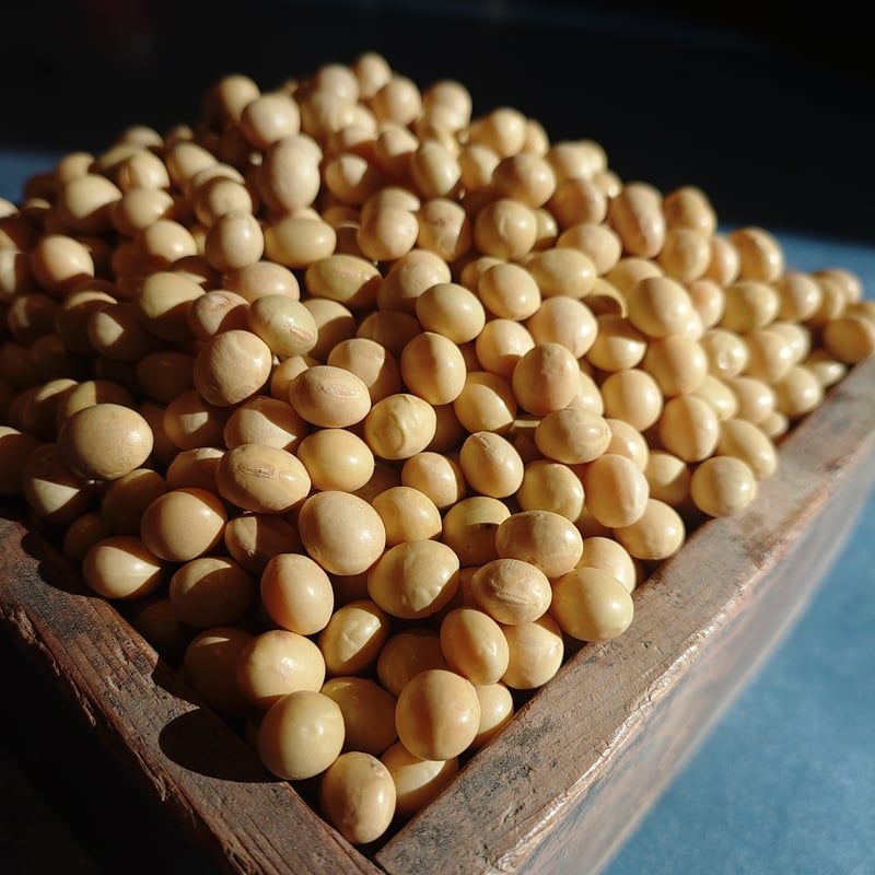 令和7年産大豆＞ たそがれ大豆シュウレイ（農薬化学肥料不使用/有機JAS