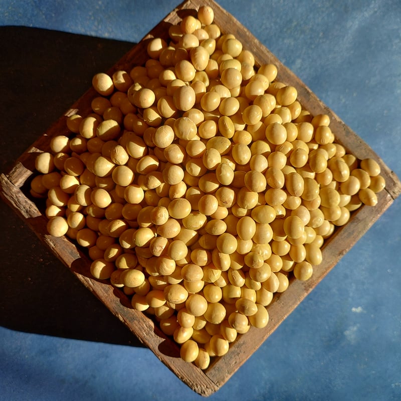 令和7年産大豆＞ たそがれ大豆シュウレイ（農薬化学肥料不使用/有機JAS