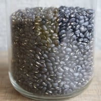 てんこあずき（農薬化学肥料不使用） 50g
