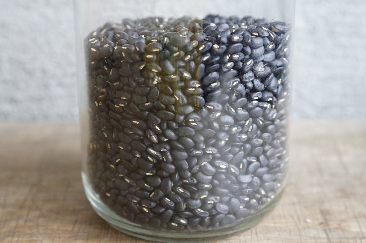 てんこあずき（農薬化学肥料不使用） 50g | たそがれ商店