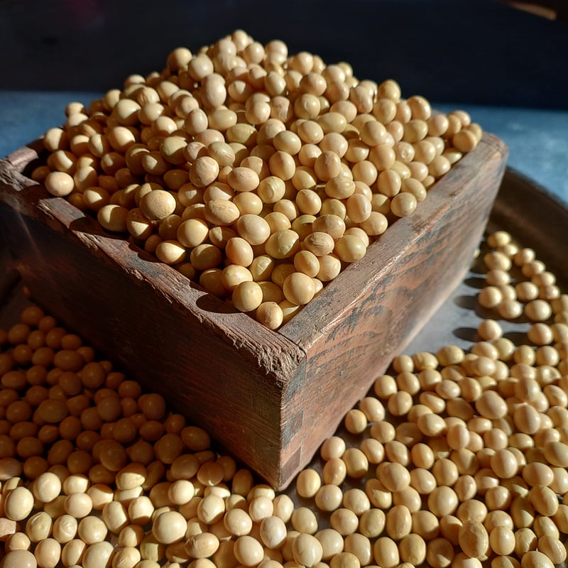 令和7年産大豆＞ たそがれ大豆シュウレイ（農薬化学肥料不使用/有機JAS