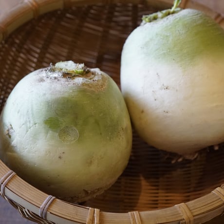 雪の下　紅心大根（農薬化学肥料不使用） 2個