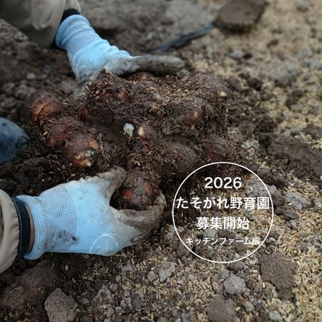 たそがれ野育園2026　入園パスポート