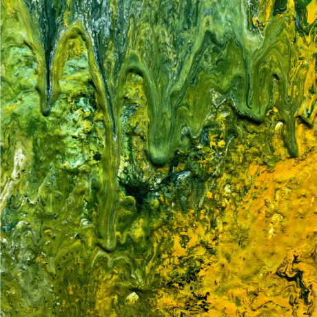 ブラジル　パッセイオ パルプドナチュラル (120g/1袋)