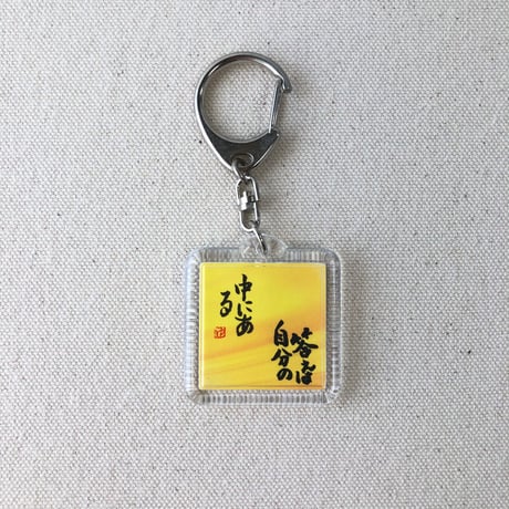 受注制作　直筆！ハメパチキーホルダー　Aナスカン　両面にお好きな言葉をお書きします。手書きのメッセージカード付き
