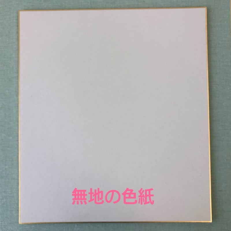 受注制作 「世界に一つだけの書き下ろし」お名前色紙 手書きの