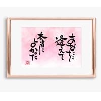 ポストカードセット「あなたに逢えて本当によかった」（印刷版）手書きのメッセージカードと紙袋付き
