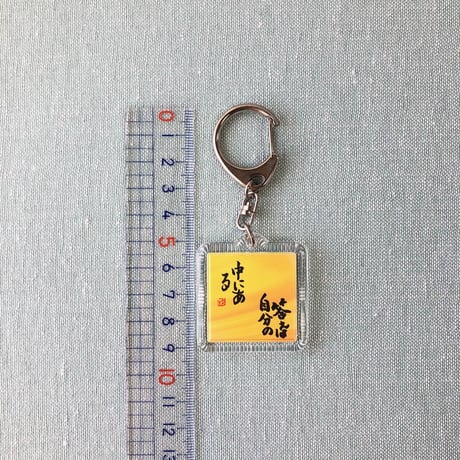 受注制作　直筆！ハメパチキーホルダー　Aナスカン　両面にお好きな言葉をお書きします。手書きのメッセージカード付き