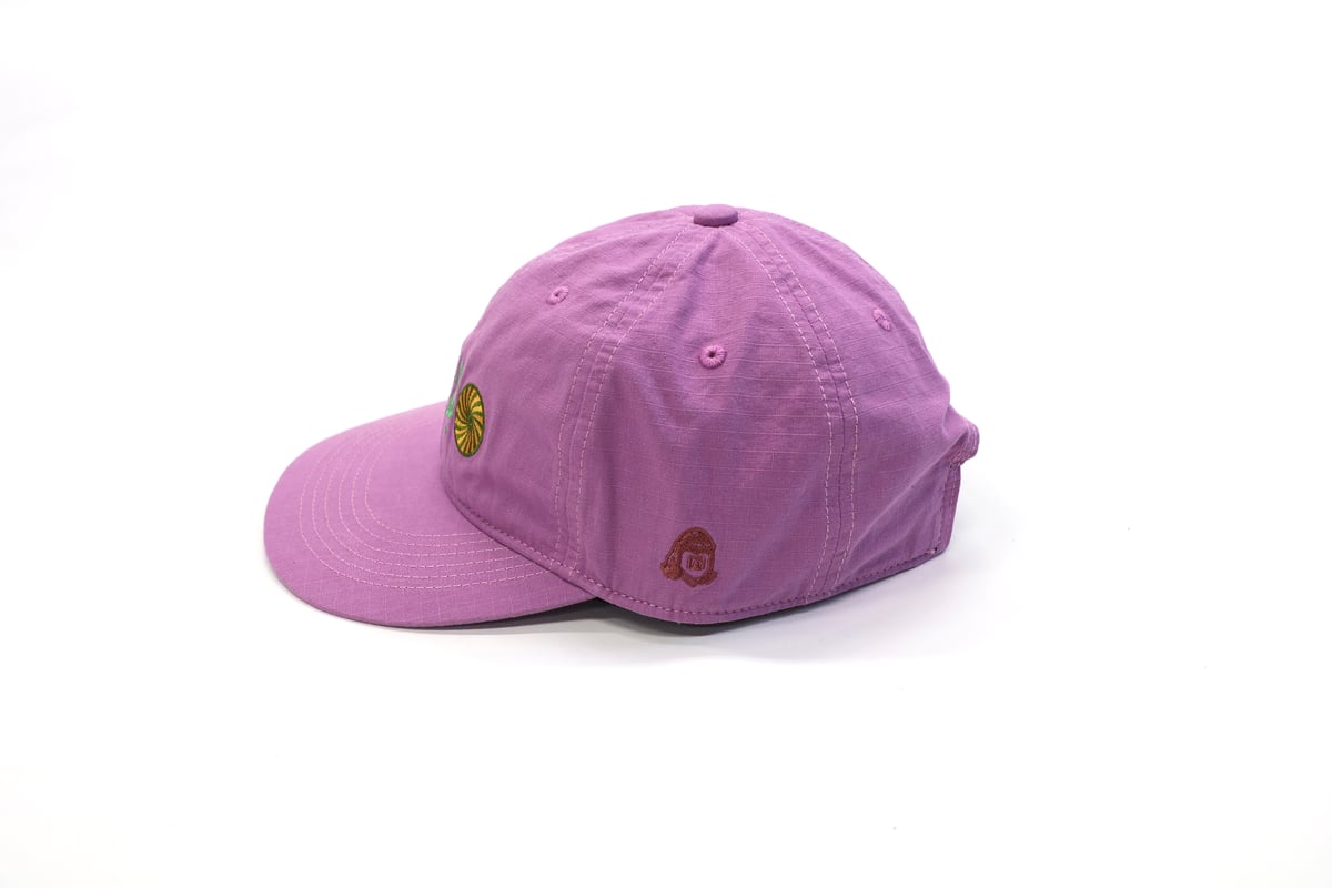 TACOMA FUJI RECORDS / UNITY IN DIVERSITY CAP |