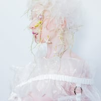 PHOTO PANEL TRANSPARENT #5