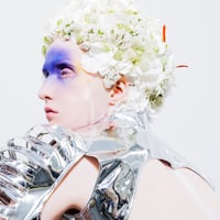 PHOTO PANEL TRANSPARENT #2