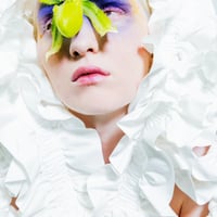PHOTO PANEL TRANSPARENT #3