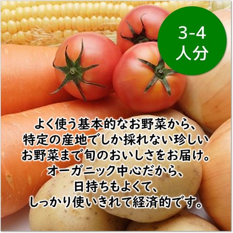 おためしベジフルBOX（初めてのお客様限定）
