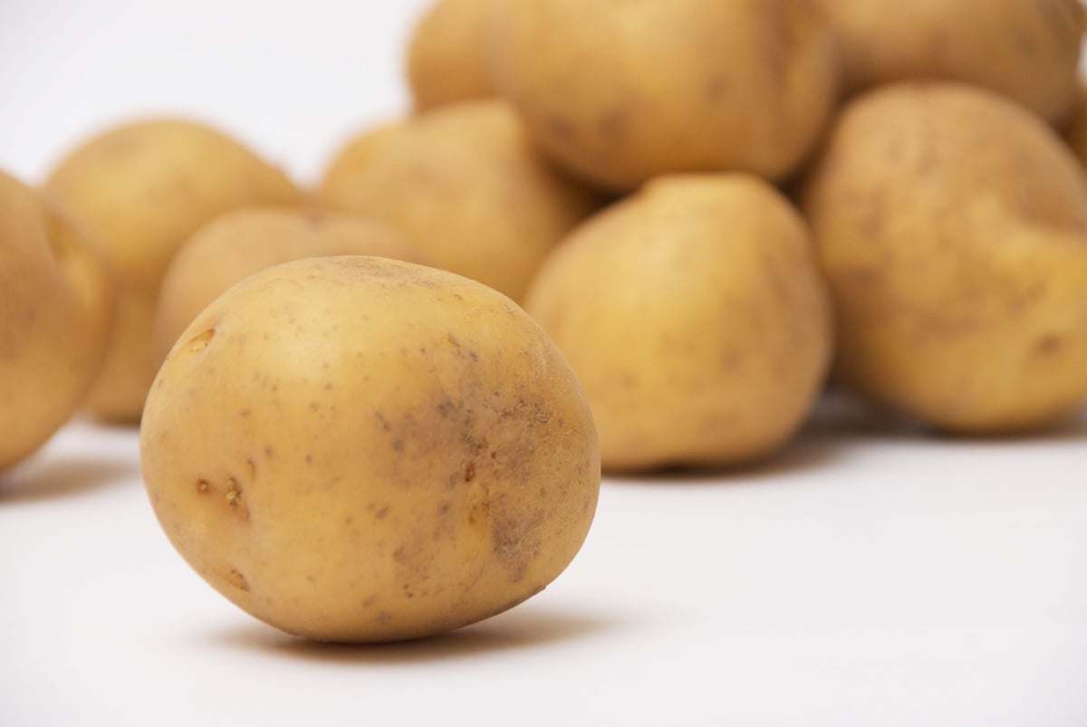 じゃがいも やさいバス/遊子水荷浦の段畑 早掘り馬鈴薯（新じゃがいも）300g