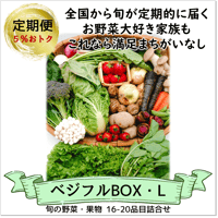 【定期便】ベジフルBOX・L（お野菜てんこ盛り）