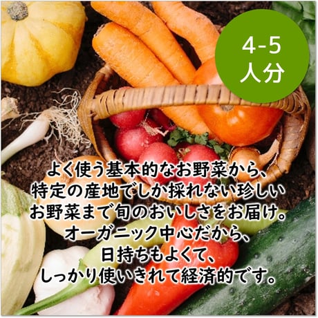 ベジフルBOX・L（お野菜てんこ盛り）