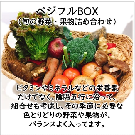 【定期便】ベジフルBOX・M（量も種類もちょうどイイ！）