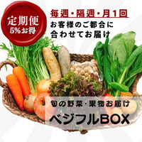 【定期便】ベジフルBOX