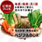 【定期便】ベジフルBOX