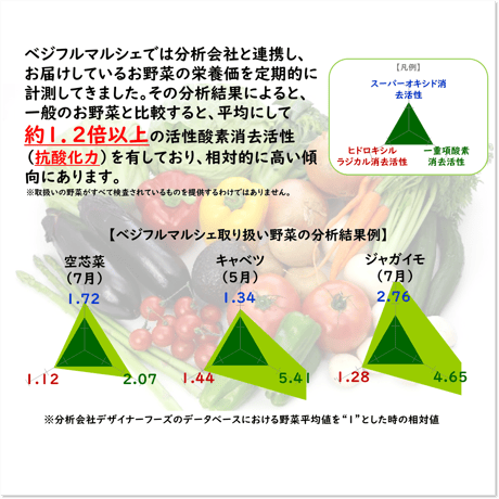 ベジフルBOX・L（お野菜てんこ盛り）