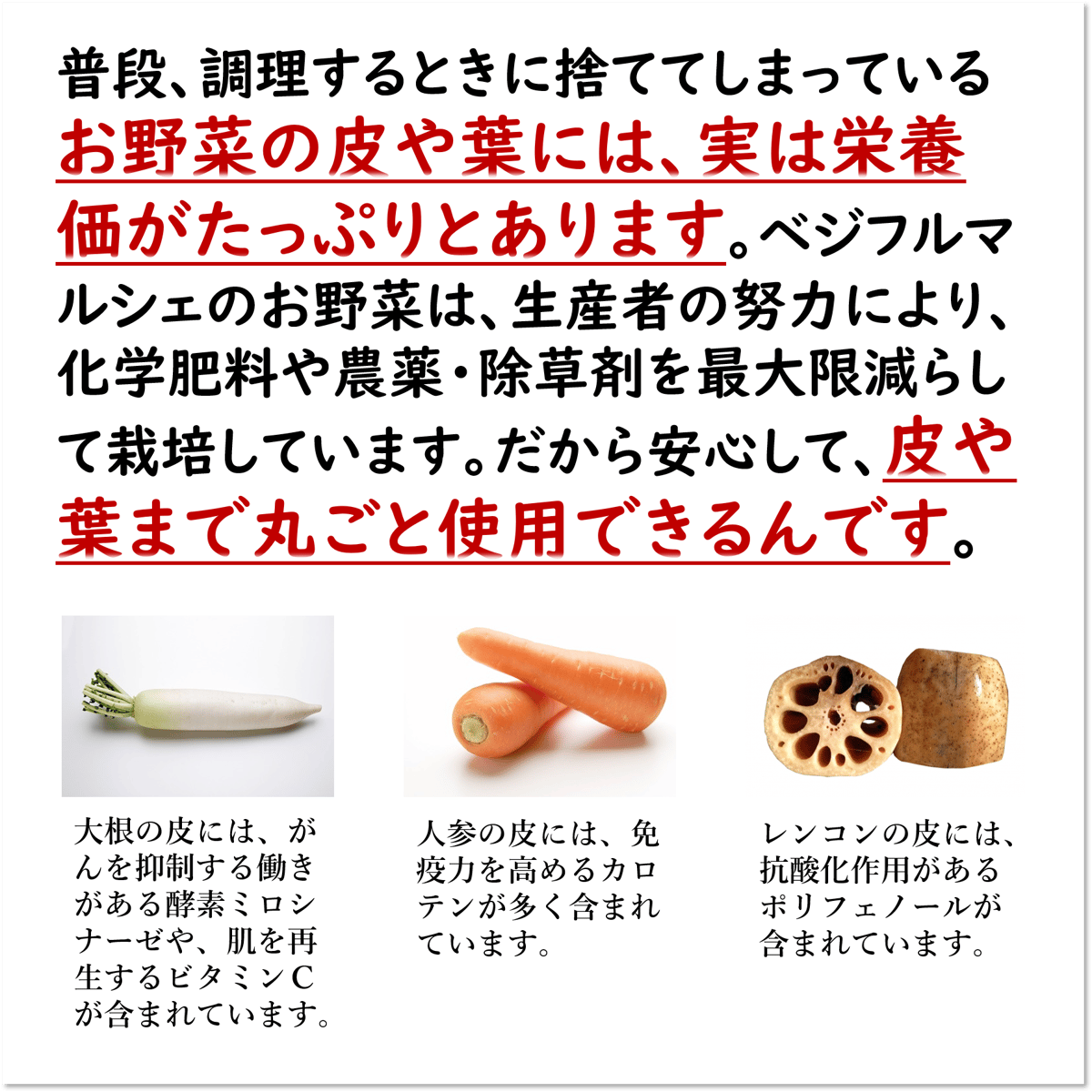 おためしベジフルBOX（初めてのお客様限定） | ベジフルマルシェ