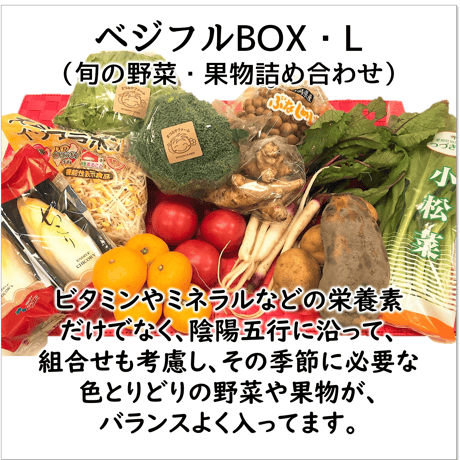 【定期便】ベジフルBOX・LL（お野菜てんこ盛り）