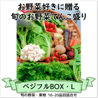 ベジフルBOX・L（お野菜てんこ盛り）