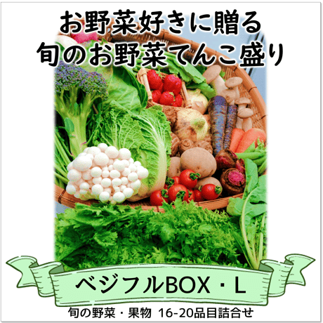 ベジフルBOX・L（お野菜てんこ盛り）