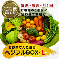 【定期便】ベジフルBOX・LL（お野菜てんこ盛り）