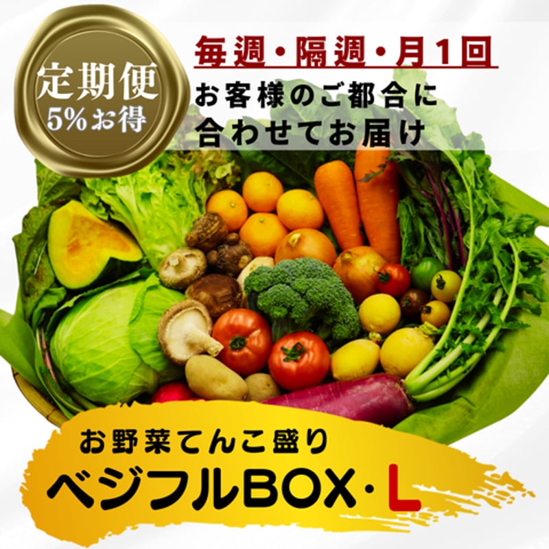 定期便】ベジフルBOX・L（お野菜てんこ盛り） | ベジフルマルシェ