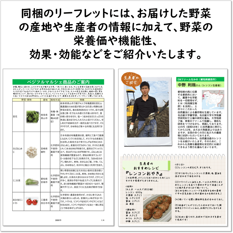 高質で安価 ベジフルBOX・L(お野菜てんこ盛り) ベジフルマルシェ | 野菜セット