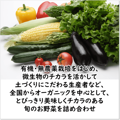 ベジフルBOX・L（お野菜てんこ盛り）
