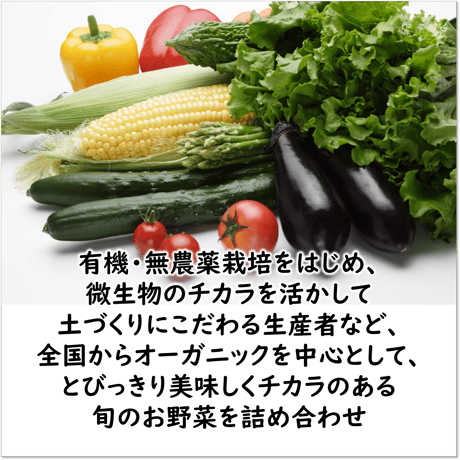 【定期便】ベジフルBOX・L（お野菜てんこ盛り）