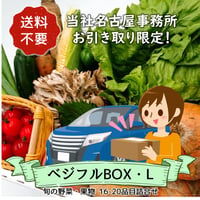 ★★名古屋事務所引取り限定★★【定期便】ベジフルBOX・L（お野菜てんこ盛り）