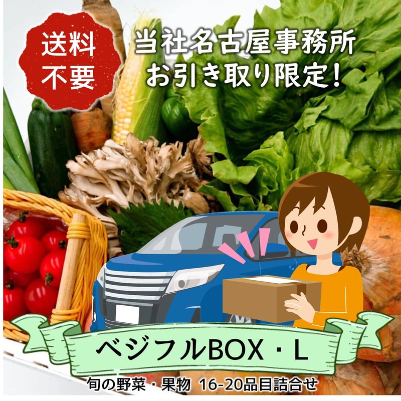 名古屋事務所引取り限定【定期便】ベジフルBOX・L（お野菜てんこ盛り