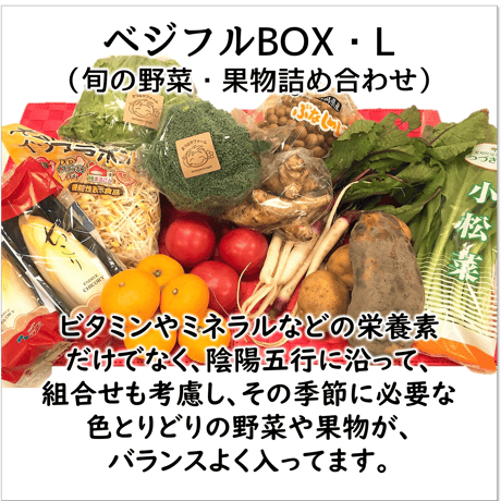 ベジフルBOX・L（お野菜てんこ盛り）