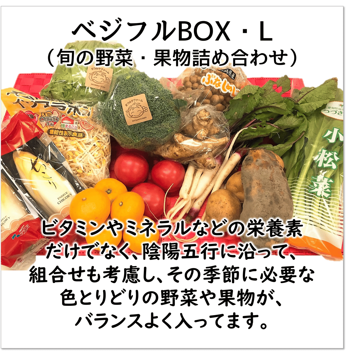 ベジフルBOX・L（お野菜てんこ盛り） | ベジフルマルシェ（vegefrumarché）
