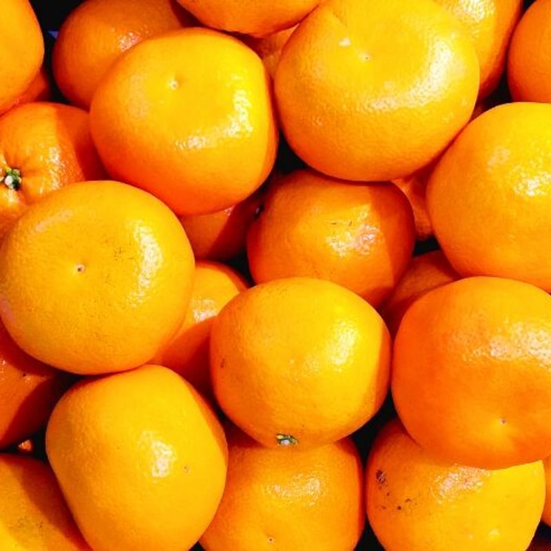 ごく旨ベジフルみかん | ベジフルマルシェ（vegefrumarché）
