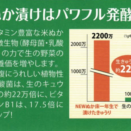ぬか床一年生