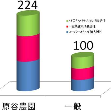 原谷農園の奇跡の抗酸化“黒”人参