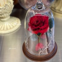 One Rose