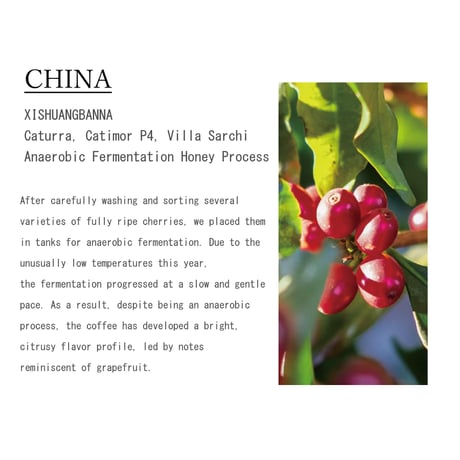 China XISHUANGBANNA Anaerobic Fermentation Honey Process【中煎り】　２００ｇ
