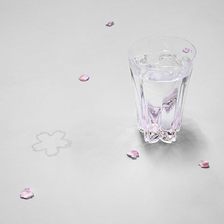 SAKURASAKU - Tumbler 紅白