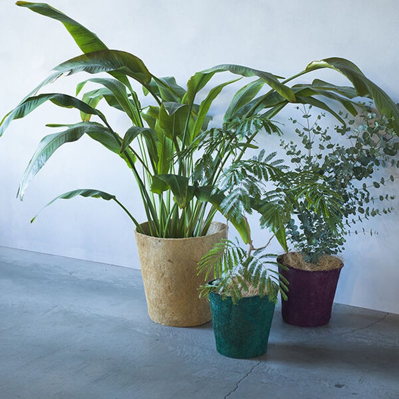 EARTH POT - Coco - S | 100percent オンラインストア EARTH POT - Coco - S | 100percent オンラインストア