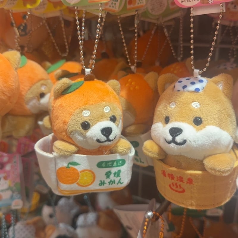 旅するマメしばえひめみかん箱入りバージョン | 道後お土産センター 絣